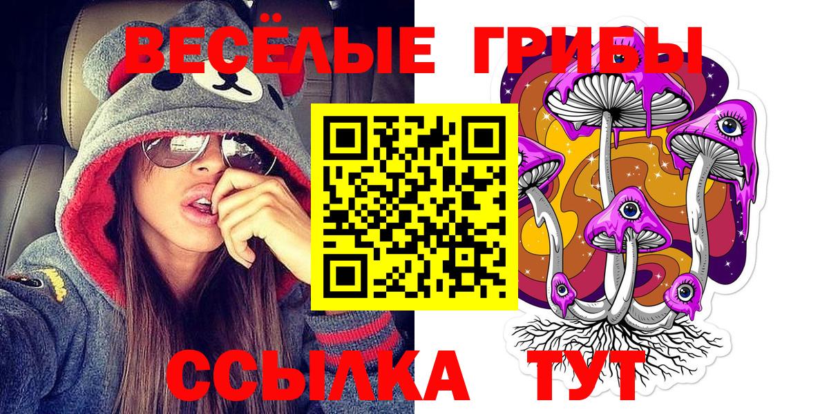 Псилоцибиновые грибы GOLDEN TEACHER Волхов