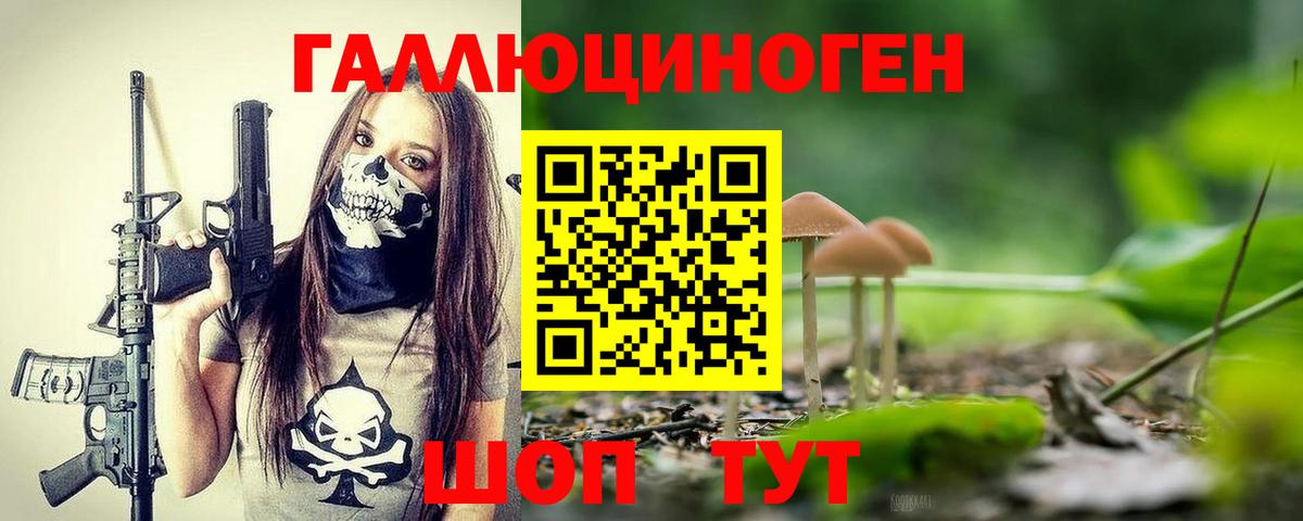 Псилоцибиновые грибы прущие грибы  Вход с VPN  Волхов 